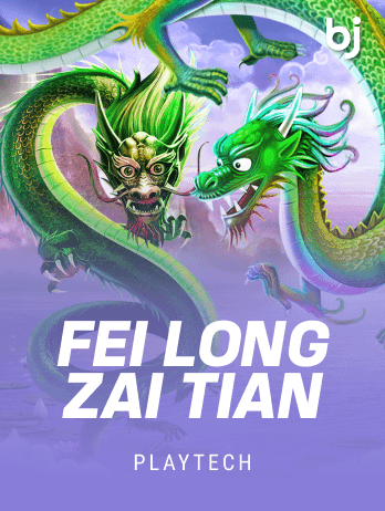 Fei Long Zai Tian icon
